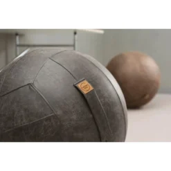 Sitting Ball Sitzball Frankie Anthrazit -Wenko Astra Geschaft 2257 2256 3sbfrankiedetail