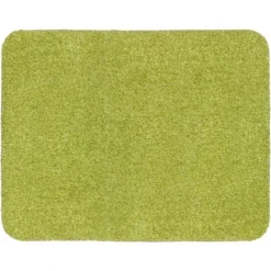 Astra Sauberlaufmatte Entra Saugstark Ca. 90 Cm X 150 Cm Grün