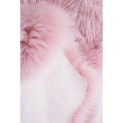 Schaffell Luxor Living Echtfell Altrosa Ca. 60 Cm X 85 Cm 3 Schaffell Luxor Living Echtfell Altrosa Ca. 60 Cm X 85 Cm – Bild 3