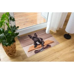 Astra Sauberlaufmatte Deco Print 40 X 60 Cm Bulldogge -Wenko Astra Geschaft 336211 3662 1698015102 4