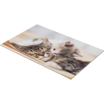 Astra Sauberlaufmatte Deco Print 40 X 60 Cm Kitten 2 Astra Sauberlaufmatte Deco Print 40 X 60 Cm Kitten – Bild 2