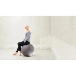 Sitting Ball Sitzball Felt Senf -Wenko Astra Geschaft 3781788 2256 3sbfeltmilieu 2