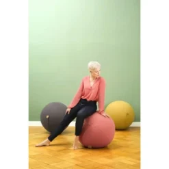 Sitting Ball Sitzball Felt Beige -Wenko Astra Geschaft 3782208 2256 3sbfeltmilieu 1