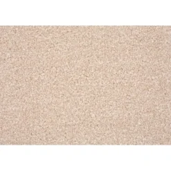 Andiamo Teppichboden Riga Breite: 400 Cm Hellbeige Meterware