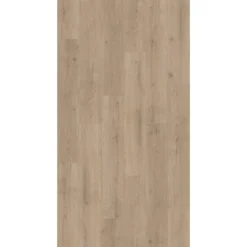 Parador Vinylboden Basic 2.0 Eiche Infinity Grau