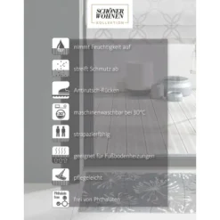 Schöner Wohnen Sauberlaufmatte Manhattan 67 Cm X 100 Cm Pusteblume Grau-Rose -Wenko Astra Geschaft 452379 3662 03