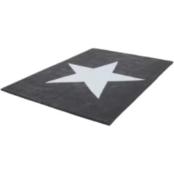 Teppich Sweety 910 Grau 120 Cm X 170 Cm -Wenko Astra Geschaft 56139 4842 4056216469786 4