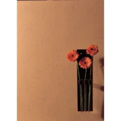 LUX Kreativ-Walze Marmor -Wenko Astra Geschaft 656528 picture 2