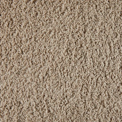 Andiamo Teppichboden Shag Sofia Schlamm Meterware Breite: 400 Cm 1 Andiamo Teppichboden Shag Sofia Schlamm Meterware Breite: 400 Cm