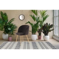 Kayoom Stuhl Celina 110 2er-Set Schwarz 54 Cm X 84 Cm X 56 Cm -Wenko Astra Geschaft 97961 4842 4056216828729 7