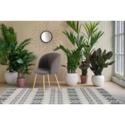 Kayoom Stuhl Celina 210 2er-Set Schwarz 54 Cm X 84 Cm X 56 Cm -Wenko Astra Geschaft 97966 4842 4056216828781 7