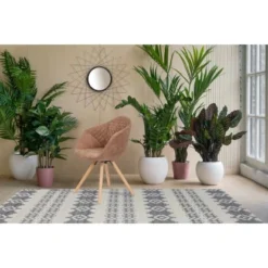 Kayoom Stuhl Chadwick 110 2er-Set Braun 59 Cm X 82 Cm X 55 Cm -Wenko Astra Geschaft 98025 4842 4056216810151 7