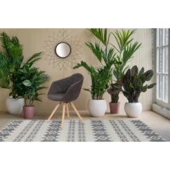 Kayoom Stuhl Chadwick 110 2er-Set Schwarz - Braun 59 Cm X 82 Cm X 55 Cm -Wenko Astra Geschaft 98027 4842 4056216810175 7