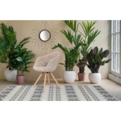 Kayoom Stuhl Chadwick 110 2er-Set Weiß - Creme 59 Cm X 82 Cm X 55 Cm -Wenko Astra Geschaft 98029 4842 4056216810182 7