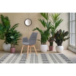 Kayoom Stuhl Chaplin 110 2er-Set Grau 60 Cm X 81,5 Cm X 55 Cm -Wenko Astra Geschaft 98058 4842 4056216810137 7