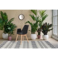 Kayoom Stuhl Chaplin 110 2er-Set Schwarz 60 Cm X 81,5 Cm X 55 Cm -Wenko Astra Geschaft 98059 4842 4056216810144 7