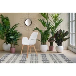 Kayoom Stuhl Chaplin 110 2er-Set Weiß 60 Cm X 81,5 Cm X 55 Cm -Wenko Astra Geschaft 98060 4842 4056216810120 7